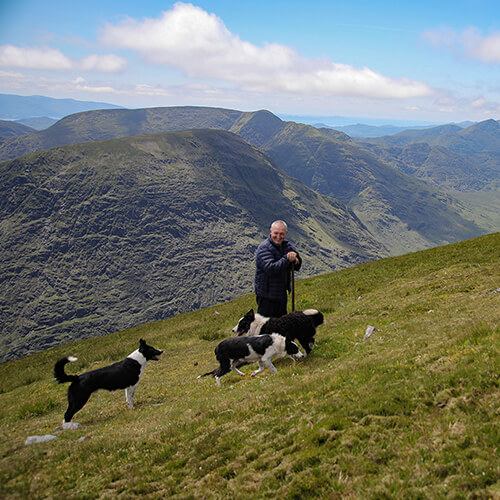 Calling all farmers in the MacGillycuddy Reeks! 